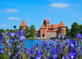 Umzug Litauen